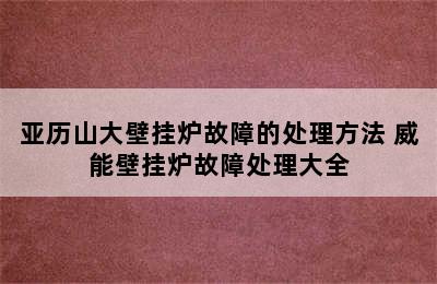 亚历山大壁挂炉故障的处理方法 威能壁挂炉故障处理大全